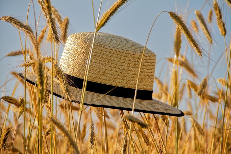 Statement Hats